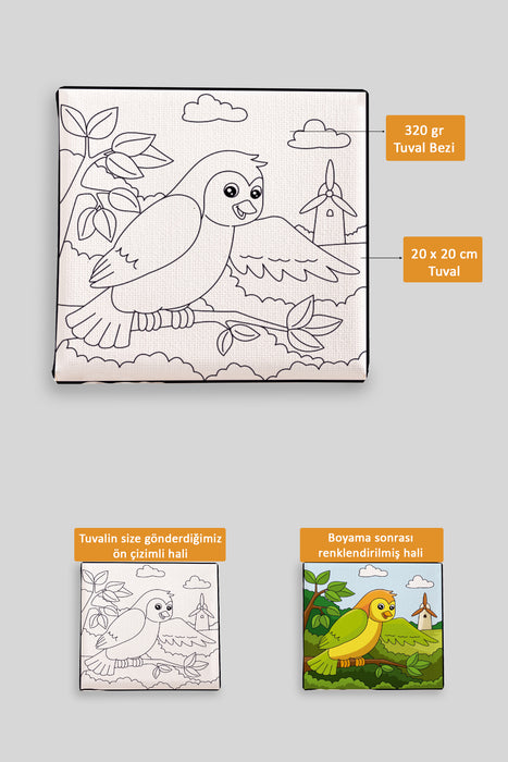 Sevimli Renkli Kuş Ön Çizimli Boyama Tuvali 9004