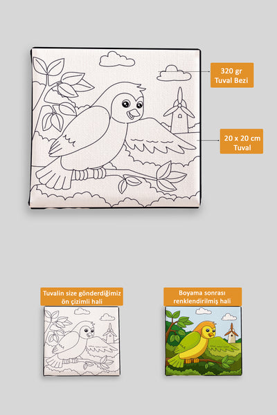 Sevimli Renkli Kuş Ön Çizimli Boyama Tuvali 9004