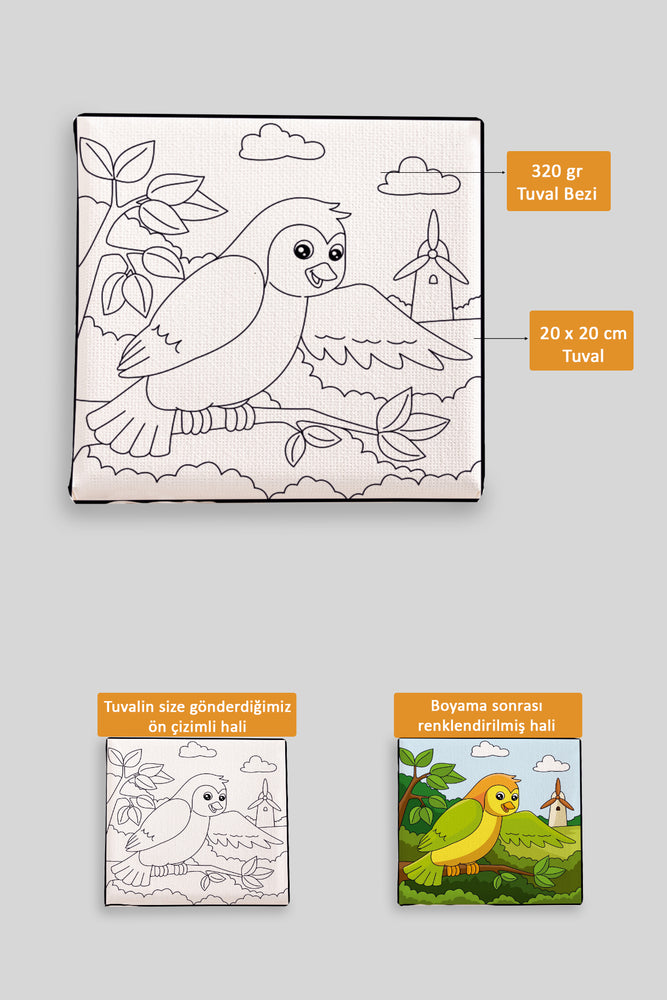 Sevimli Renkli Kuş Ön Çizimli Boyama Tuvali 9004