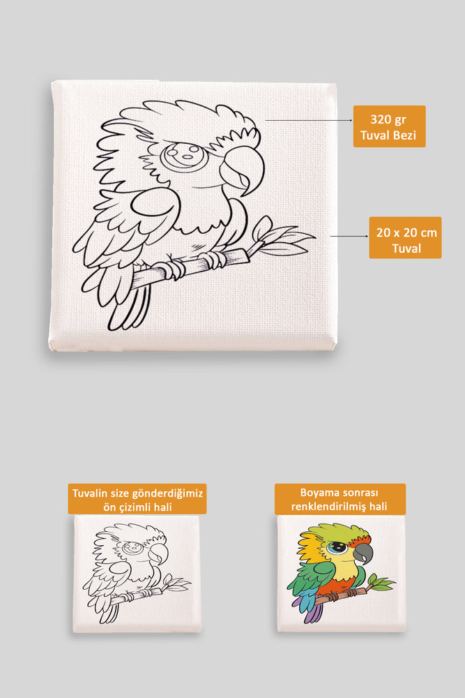 Sevimli Papağan Ön Çizimli Boyama Tuvali 9083